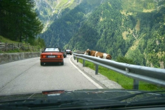alpen0162