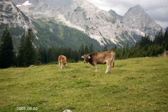 alpen0284