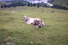 alpen0286