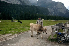 alpen0298