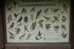 hagen2015-091