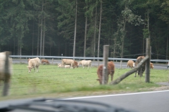 herbst2009-061