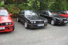 herbst2009-081
