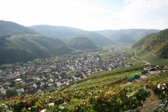 herbst2010-06