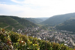 herbst2010-07