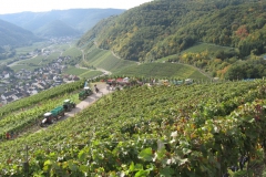 herbst2010-11