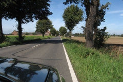 herbst2011-072