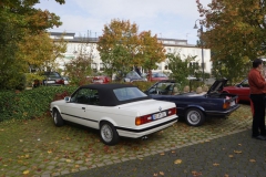 herbst2014-05