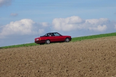 herbst2014-42n