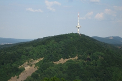 jt2008-1035