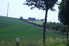 jt2008-1119