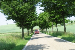 jt2008-1132