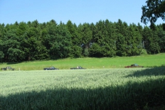 jt2008-1138