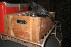 jt2008-2041