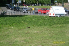 jt2009-008
