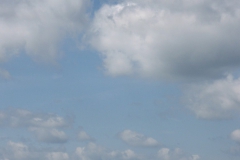 ogp08-07