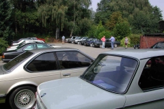 wild05